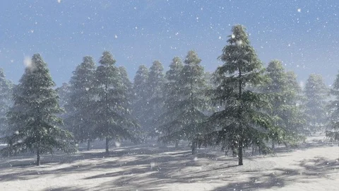 Forest in Winter Snowing Animation, 3D Rendering Stock Footage 121688738