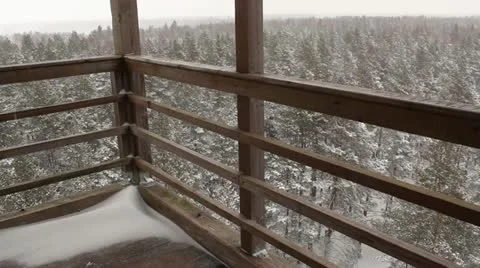 Forest in winter, snowing Video stock 10813382