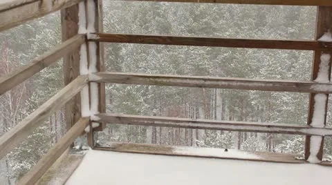 Forest in winter, snowing Stock Footage 10813384