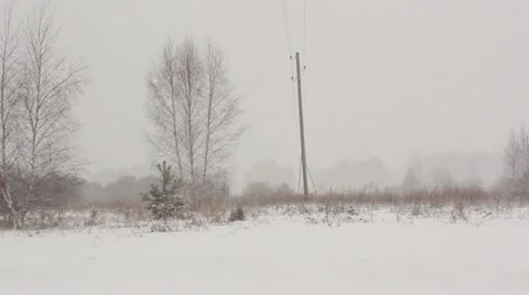 Forest in winter, snowing, winter scene Stock Footage 10813379