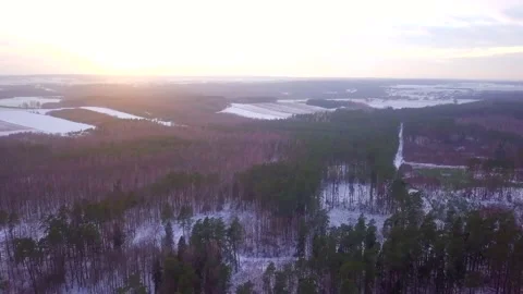 Forest in winter at sunny sunset. 4k aerial video. Stock Footage 168373749