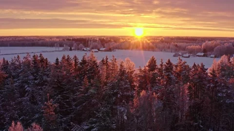 Forest at Winter Sunrise Stock Footage 256806979