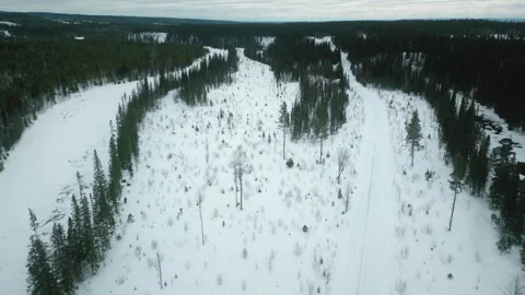 Forest in winter Sweden Stock Footage 244258265