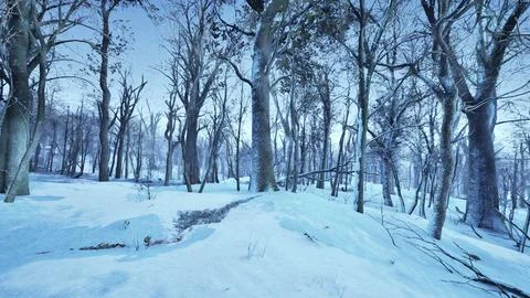 Forest in winter time at sunset Stock Illustration