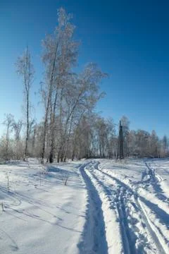 Forest in winter. Trees without foliage.  Trees in hoarfrost. A lot of snow.  Wi Stock Photos