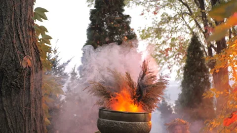 A forest witch brews a potion holding a Voodoo doll Stockbeeldmateriaal 133205810