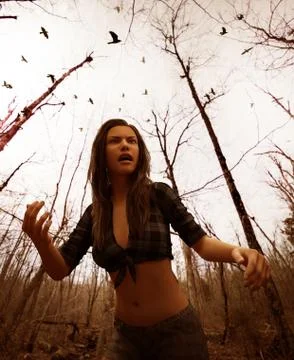 Forest of the witch Stock Illustration