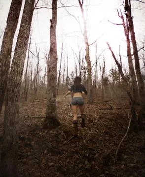 Forest of the witch Stock Illustration