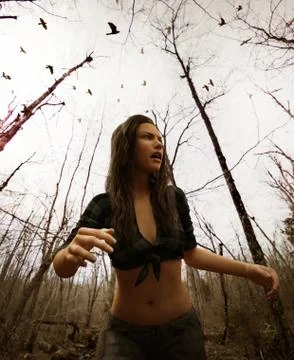 Forest of the witch Stock Illustration