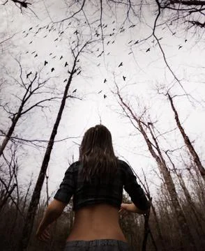 Forest of the witch Stock Illustration