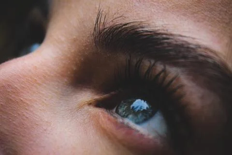 Forest within eye Stock Photos