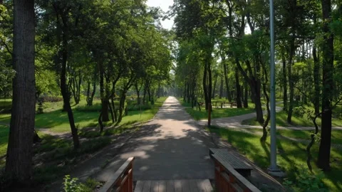 Forest Wooden Bridge Stock Footage 134380864