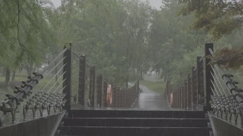 Forest Wooden suspension bridge path in heavy rain vlog,with original rain sound Stock Footage 336647630