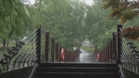 Forest Wooden suspension bridge path in heavy rain ,with original rain sound Stock Footage 336647648