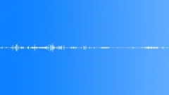 Forest Woodland AmbienceSound Effect