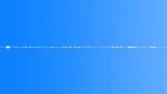 Forest Woodland Loop 2Sound Effect