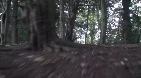 Forest / Woods Chase scene - Low to ground steadicam Stock Footage 43669632