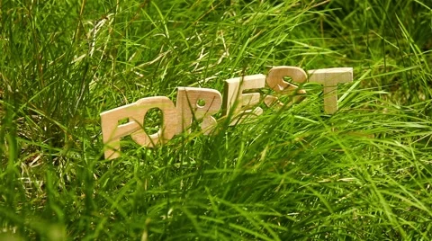 Forest Word in the grass Video stock 51141859