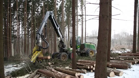 Forest work #2. Wood cutting machine in snow. HD Winter. Stock Footage 40360254
