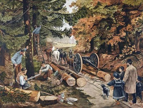 Forest work and timber harvesting in the 19th century, forest workers cutting Stock Illustration