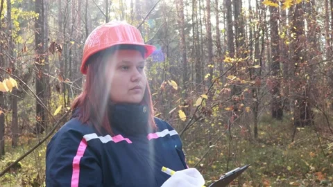 Forest worker conducts important survey in autumn woods Vídeos de archivo 295248965