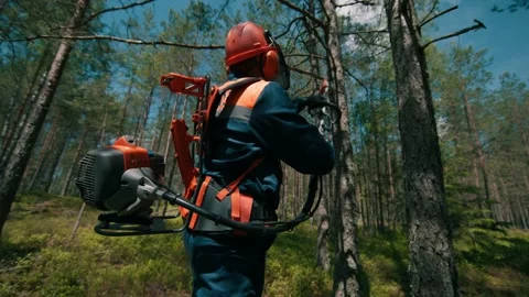 A forest worker cuts the limbs with a delimber. A lumberjack in uniform works in Stock Footage 163269059