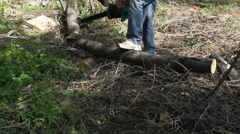 Forest worker Stock Footage 37958476