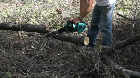 Forest worker Stock Footage 37958661