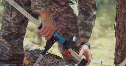 A forest worker keeps a record of felled trees during logging. Measuring  Stock Footage 158708266