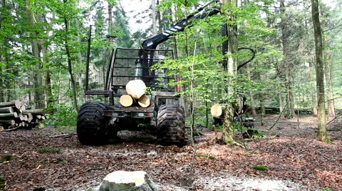 Forest worker loading tree trunks with a huge forwarder Stock Footage 41758543