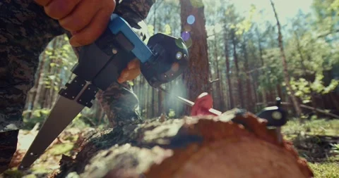 The forest worker measures the thickness and length of the sawn tree trunk with Stock Footage 157419727