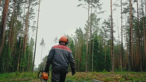 A forest worker in overalls Stock Footage 238015618