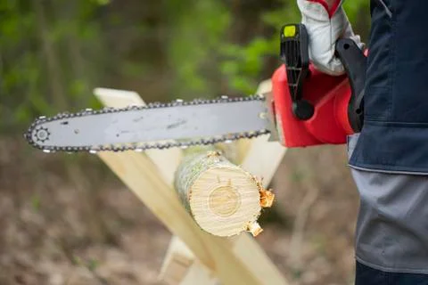 Forest worker in protective gloves saws tree trunk with the chainsaw. Close-up. Stock-Fotos