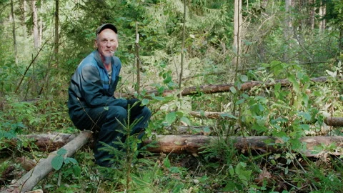 Forest worker resting, sitting on a log and smoking in the forest while logging. Stock Footage 140684093