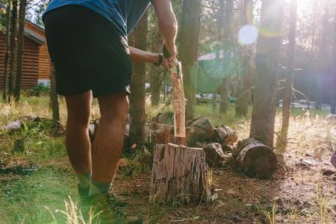 Forest worker splitting log with axe beside rustic cabin in bright sunlight.. Stock Photos