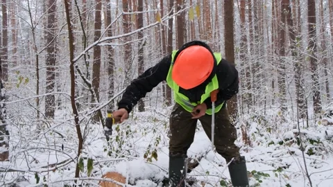 A forest worker stamps a bar code on freshly cut wood with a hammer. Stock Footage 300766469