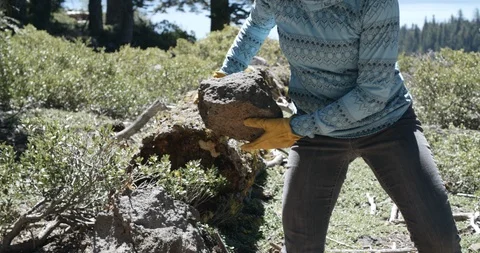 Forest worker throwing rock off biking trail Stock Footage 97667136