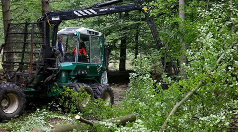 Forest workers working with the hydraulic boom Video stock 41770115