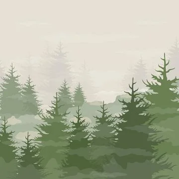 Forest5 Stock Photos