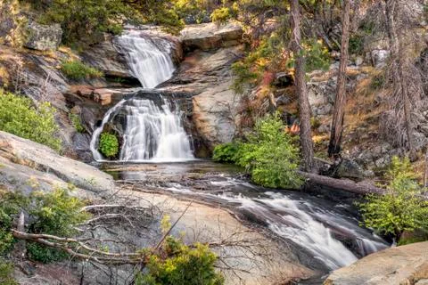 Foresta Falls Cascades Stock Photos