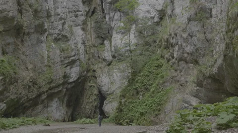 Foresta 库存影片 302939565