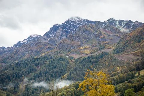 Forestcovered mountain under cloudy sky, a beautiful natural landscape Stock Photos