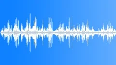 FOREST,DAYSound Effect