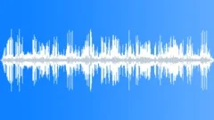 FOREST,DAYSound Effect