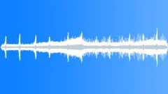 FOREST,DAYSound Effect