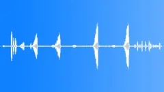 FOREST,DAY Sound Effect