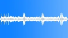 FOREST,DAYSound Effect