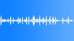 FOREST,DAY Sound Effect