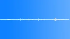 FOREST,DAY Sound Effect