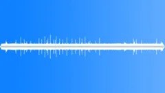 FOREST,DAYSound Effect